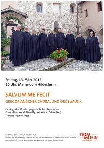 Plakat Hildesheim 2015